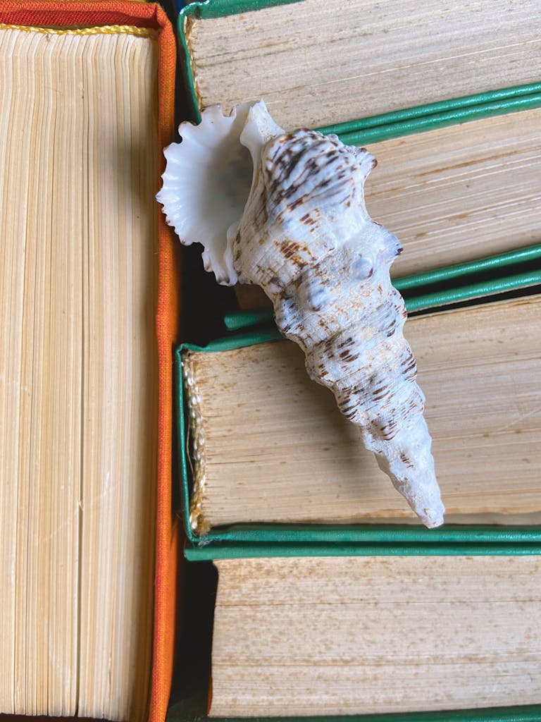 Libro de tapa dura